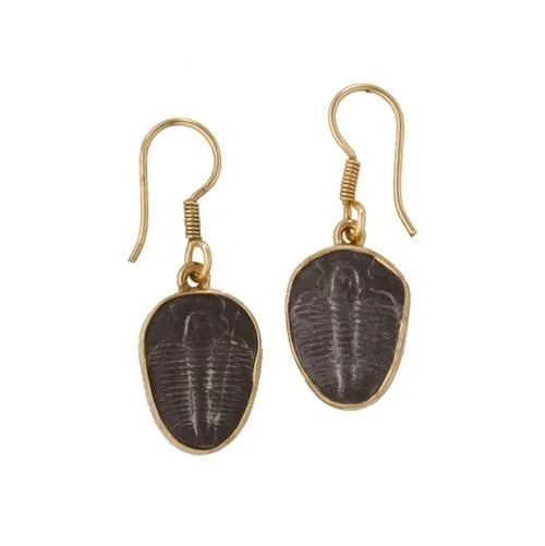 Alchemia Trilobite Drop Earrings